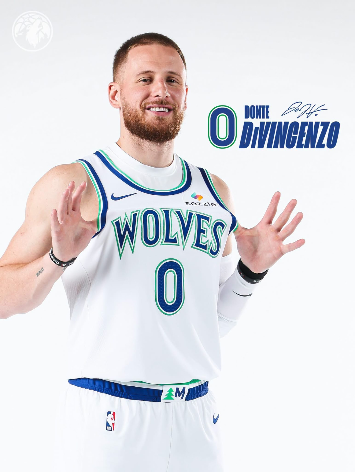 Donte DiVincenzo in a Timberwolves jersey — player portrait